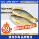 GUO LIAN國(guó)聯(lián)三去黃花魚2條共凈重2斤國(guó)產(chǎn)寧德東海大黃魚中秋聚餐海鮮食材