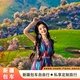 新疆旅游包車(chē)北疆伊犁那拉提喀納斯禾木獨庫 烏魯木齊南疆喀什包車(chē) 經(jīng)濟5座SUV/單日車(chē)價(jià)/定制路線(xiàn)