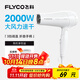飛科（FLYCO）電吹風(fēng)機家用發(fā)廊大功率2000W速干恒溫便攜可折疊白色FH6232