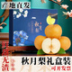 壹萌果蔬山東秋月梨新鮮采摘冰糖梨子禮盒當季水果甜現摘現發(fā)送禮佳品包郵 5斤精選果【單果250g+】?jì)?.5斤