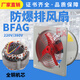 勝意興BFAG300/400防爆排風(fēng)扇220V工業(yè)防爆排氣扇500/600防爆換氣扇380V （網(wǎng)式）防爆排風(fēng)扇BFAG-300/220v