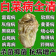 白菜病菌清專(zhuān)用大白菜防爛心爛根黃葉軟腐白菜病害殺菌葉面肥劑 1包裝【白菜病害清】適用小菜園