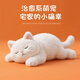 VBTYE會(huì )發(fā)熱的貓咪暖手抱枕毛絨玩具女生公仔電加熱床娃娃睡覺(jué)玩偶禮物 雪團子貓 【體驗價(jià)】50厘米