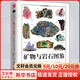 礦物與巖石圖鑒 231種礦物65種巖石鑒別指南 紙上博物館 巖石大百科 礦物與巖石愛(ài)好者的專(zhuān)業(yè)工具書(shū) 水晶玉髓寶石 32開(kāi) 銅版紙 全彩印刷