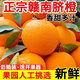 假一罰十正宗信豐贛南臍橙應季橙子甜橙整箱送禮首選產(chǎn)地果農直發(fā) 5斤（含彩箱） 80-90mm（精品果）全家暢吃送禮首選
