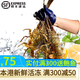 皆鄰東山島海捕小青龍蝦新鮮活凍大號青龍蝦春節禮盒送禮佳品海鮮禮盒 200-250克/只