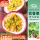 壽禾 百香果苗果樹(shù)苗黃金百香果當年結果南方種樹(shù)苗帶土苗四季水果苗 (約40cm)百香果苗4棵