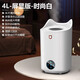 DIKTT德國加濕器家用臥室空氣凈化器一體機鼻炎專(zhuān)用加水4L大容量便攜式小型宿舍臥室辦公室客廳床頭空氣 【屏顯旗艦款4L白色】3檔可調 220mL/h 【母嬰可用】