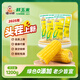 傻小胖【頭茬玉米】甜糯玉米試吃裝6根  1200g 早餐零食黏  玉米粗糧