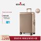 愛可樂（Echolac）【2025夏季限定】王朝二代新品行李箱旅行箱PC142U果殼棕20英寸