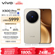vivo X300 Pro 16GB+512GB 曠野棕 蔡司2億APO超級長焦 藍圖影像雙芯 5年持久流暢OriginOS 6 AI手機