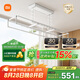 米家智能晾衣機(jī)1C【國(guó)家補(bǔ)貼】小米電動(dòng)晾衣架小愛遙控陽(yáng)臺(tái)升降晾衣桿