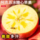 京地達新疆阿克蘇冰糖心蘋(píng)果 凈重8.5斤單果220g新鮮水果源頭直發(fā)包郵