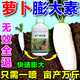 蘿卜膨大素地下根莖膨大生根增產(chǎn)增甜胡蘿卜白蘿卜紅皮蘿卜水溶肥 1瓶裝【蘿卜膨大素】300ml/瓶