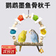 智宙鸚鵡秋千墨魚(yú)骨磨砂站棍玩具解悶自嗨鳥(niǎo)用鳥(niǎo)籠用品磨牙棒吊環(huán)磨爪 藤球墨魚(yú)骨秋千【原木站桿】
