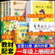 【官方正版】和大人一起讀朱永新聶振寧主編 愛(ài)書(shū)的孩子注音版一年級 澳彼得.卡納沃斯著(zhù) 拔蘿卜一年級閱讀俄阿?托爾斯泰 金波四季童話(huà)小巴掌童話(huà)張秋生注音版 課內作家一年級上冊快樂(lè )讀書(shū)吧閱讀課外書(shū)必讀 【