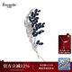 Eternelle法國(guó)永恒原創(chuàng)設(shè)計(jì)胸花秋冬領(lǐng)針女配飾別針扣奧地利水晶胸針 典雅藍(lán)
