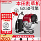 本田（HONDA）割草機(jī)汽油機(jī)四沖程打草大功率原裝進(jìn)口GX50背負(fù)式除草機(jī)