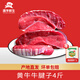 灘羊鮮生寧夏牛肉生鮮 黃牛新鮮原切牛腱子肉牛腿肉火鍋食材清真源頭直發(fā) 4斤牛腱子