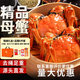 【活蟹】湖中秋色全母大閘蟹3.0-3.3兩8只去繩足重螃蟹鮮活海鮮生鮮中秋送禮盒源頭直發(fā)