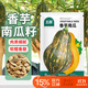 北蔬 南瓜種子種苗甘甜糯粉香味濃郁春秋季蔬菜種籽 香芋南瓜種子20粒