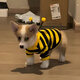 京悠雨狗狗衣服秋冬款蜜蜂裝小柯基泰迪比熊貴賓小型犬寵物保暖 黃蜜蜂馬甲 S(建議3-5斤 參考胸圍背長(cháng))