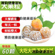 北京同仁堂酵素青梅增強版酵素梅子排宿便秘隨便果零食水果脆青梅四季果凈排 增強版大果【60個(gè)】重度便秘96選擇