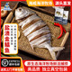 深海浪淘鹽漬金鯧魚(yú)淡鹽昌魚(yú)干 半干濕特大海威金倉魚(yú) 咸魚(yú)一夜埕湛江特產(chǎn) 500-600g/條【特大號發(fā)3條】