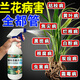 蘭花專(zhuān)用肥料殺菌劑黃葉焦尖黑斑病防干尖爛根營(yíng)養液植物多菌靈藥 1瓶裝*免稀釋直接噴*蘭花病