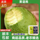 果語(yǔ)熊秘魯哈斯牛油果大果新鮮水果當季整箱包郵輔食一級鱷梨森林奶油 巨無(wú)霸【單果190g-220g】選它選它 8個(gè)