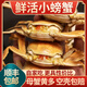 【活蟹】網(wǎng)兜蟹鮮活螃蟹凈重足重淡水大閘蟹稻田蟹公母小河蟹 公母五元蟹[0.9-1.2兩] 26只（總重2.6斤）