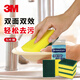 3M海綿思高百潔布7401廚房餐飲飯店專用易清潔刷子刷鍋洗碗布清潔布 便攜裝-9.8cm*6.5cm*5片