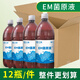 衛漁 濃縮EM菌原液水產(chǎn)養殖蝦蟹魚(yú)塘用改底調水凈水乳酸菌液益生菌種 【整箱12瓶】EM菌原液1升*12瓶/箱