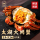 【活蟹】陽(yáng)澄逍遙 太湖大閘蟹六月黃2.9-3.2兩8只鮮活螃蟹現貨水產(chǎn)禮盒海鮮源頭直發(fā)
