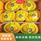 京地達燕窩果 麒麟果 精品禮盒裝 凈重4斤單果250g+源頭直發(fā)包郵