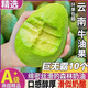 憶京源云南哈斯牛油果 新鮮水果應當季鱷梨森林奶油寶寶孕婦輔食水果 6個(gè)大果精選裝【單果130-170g】 商超品質(zhì)源頭直發(fā)