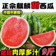 黃六爺 云南8424麒麟西瓜水果新鮮12斤超甜大果應當季甘美4K非無(wú)籽西瓜 只賣(mài)真-麒麟西瓜 云南麒麟西瓜*1【凈重8-9斤】