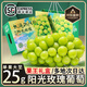 壹萌果蔬陽光玫瑰葡萄【順豐多地次日達(dá)】禮盒5斤晴王葡萄無籽香印青提 5斤|超值裝【8g-20g】-凈4斤