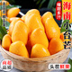 海南小臺農芒果新鮮現摘小臺芒應當季熱帶水果整箱特產(chǎn)芒果 【3斤小果】?jì)糁?.5斤（單果50-70g）