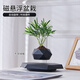 TaTanice磁懸浮盆栽室內玄關(guān)辦公室前臺盆景桌面擺件智能花盆高檔客廳創(chuàng  )意 磁懸浮花盆-黑色