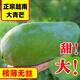 黃六爺進(jìn)口大青芒純甜青皮芒果高級熱帶新鮮水果應當季金煌芒整箱特大果 5斤 特大果【單果800-1000g】肉厚更滿(mǎn)足