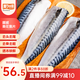 美加佳挪威青花魚(yú)片凈重2斤（8-10片）鯖魚(yú)片 獨立包裝 去頭去尾去臟