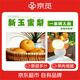京覓萊陽(yáng)新玉梨 凈重3斤 單果250g+ 脆甜多汁無(wú)渣 新鮮水果 源頭直發(fā)