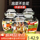 PAKCHOICE泡菜壇子家用加厚密封罐透明大容量臘八蒜罐泡酒罐腌菜壇子