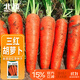 北蔬 胡蘿卜種子苗三紅七寸參秋季蔬菜種籽 新黑田紅筍胡蘿卜種子10g
