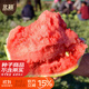 北蔬 懶漢西瓜種子種苗特大巨型南方種植超甜西瓜籽 懶漢西瓜種子60粒