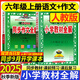2025秋 小學(xué)教材全解六年級上冊語(yǔ)文數學(xué)英語(yǔ)人教版北師大 教材解讀6年級同步練習冊薛金星 教材全解+同步作文全解