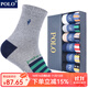 POLO男士簡(jiǎn)約條紋跑步襪男襪6雙裝 秋冬保暖棉襪吸汗跑步籃球中筒襪 五色六雙【型號3734】 6雙 39-45碼鞋合適