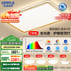 歐普（OPPLE）護(hù)眼全光譜吸頂燈客廳燈智能LED照明簡約現(xiàn)代大氣燈具套餐1包安裝