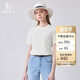 哈吉斯（HAZZYS）女裝 春季女士圓領(lǐng)文藝細條紋T恤衫ASTSE0BBE68